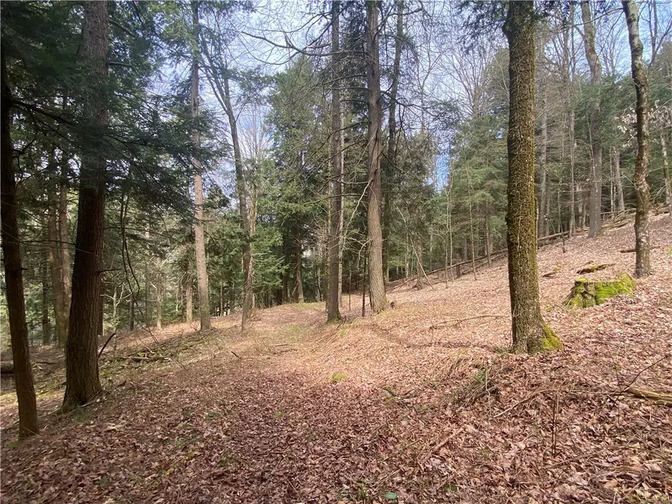  lot A Piermott Ln, Hartwick, NY 13348 photo 8