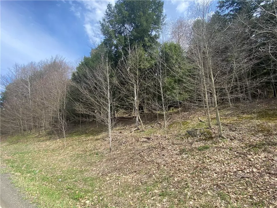  lot A Piermott Ln, Hartwick, NY 13348 photo 2