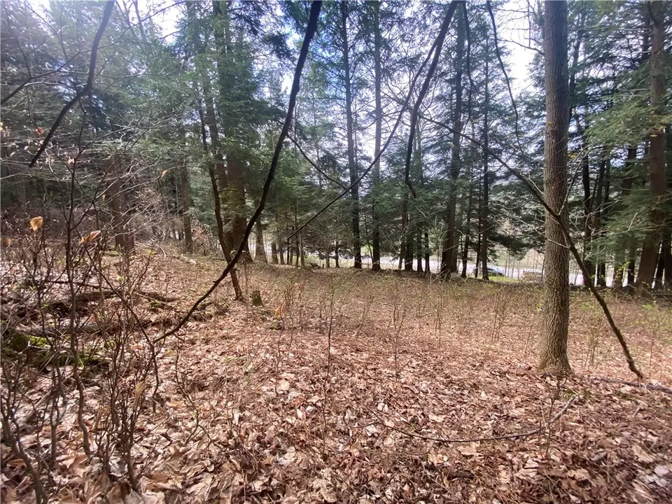 lot A Piermott Ln, Hartwick, NY 13348 photo 10