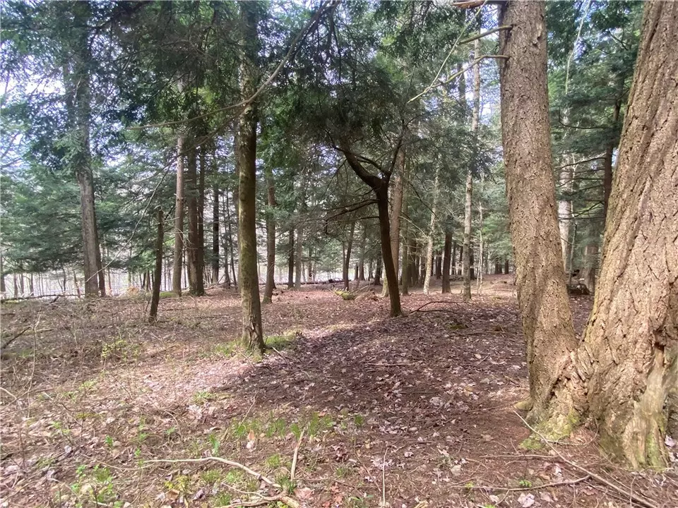  lot A Piermott Ln, Hartwick, NY 13348 photo 9
