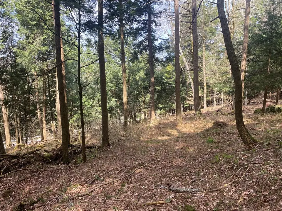  lot A Piermott Ln, Hartwick, NY 13348 photo 6