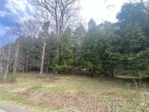 lot B Piermott Ln, Hartwick, NY 13348