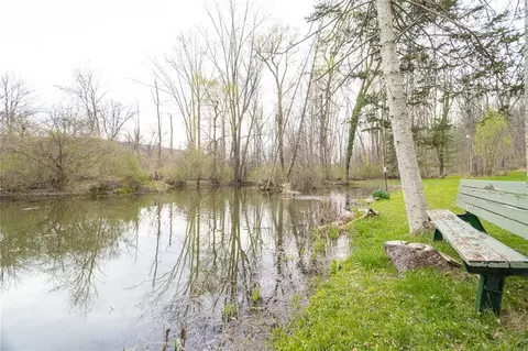 1601 Emerson Rd, Potter, NY 14507 photo 36