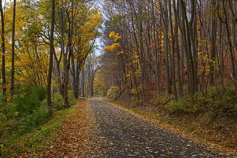 1601 Emerson Rd, Potter, NY 14507 photo 47