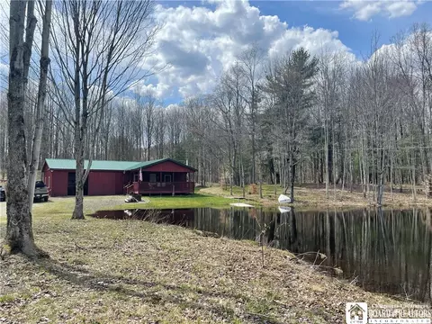 10372 Rt 242, Napoli, NY 14772
