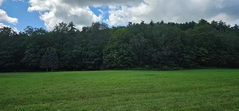 0 Mile Lane Rd, Athens Twp, PA 18840
