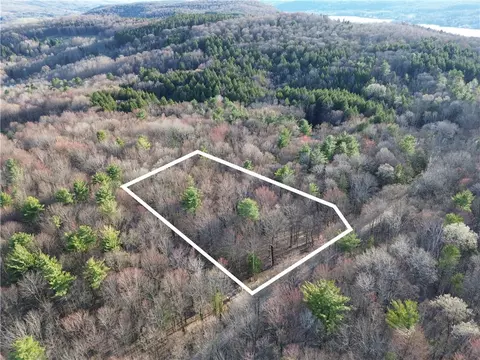 Van Yahres Road, Middlefield, NY 13326