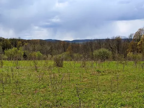 lot Apt 3701 County Highway 4, Morris, NY 13808
