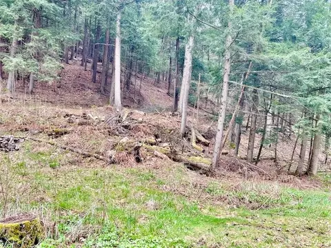 446 Laurel Rd, Greene, NY 13778