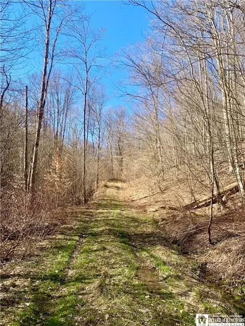 Chapman Road, Humphrey, NY 14741