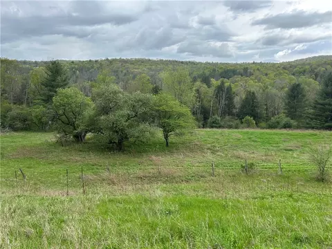 6424 State Route 417, Woodhull, NY 14801