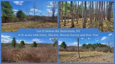 lot15 Nelson Rd, Butternuts, NY 13843