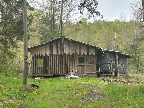 292 Ripple Rd, Norwich, NY 13815