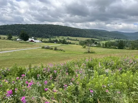 463 Cemetery Rd, Seward, NY 12043 photo 13