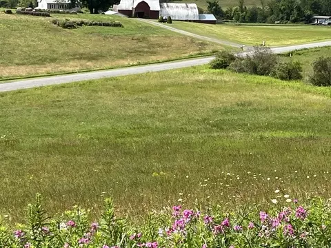 463 Cemetery Rd, Seward, NY 12043 photo 18