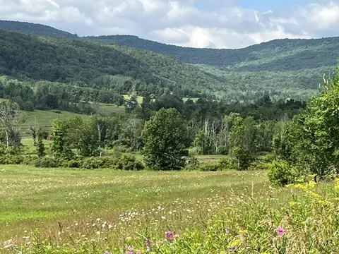 463 Cemetery Rd, Seward, NY 12043 photo 17
