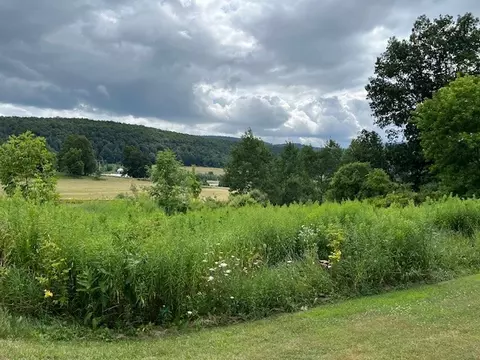 463 Cemetery Rd, Seward, NY 12043 photo 10