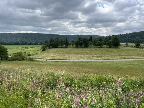 463 Cemetery Rd, Seward, NY 12043 photo 14