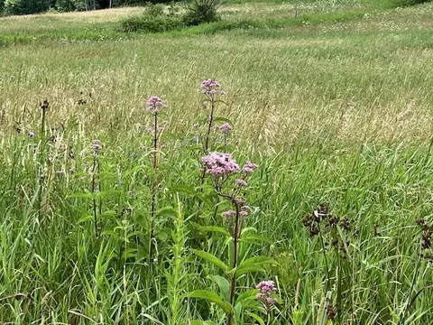 463 Cemetery Rd, Seward, NY 12043 photo 11