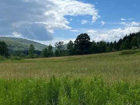 463 Cemetery Rd, Seward, NY 12043 photo 5