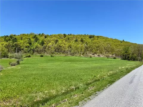 463 Cemetery Rd, Seward, NY 12043 photo 9