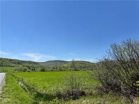 463 Cemetery Rd, Seward, NY 12043 photo 6