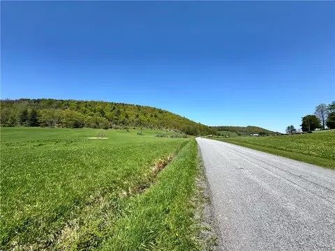 463 Cemetery Rd, Seward, NY 12043 photo 8