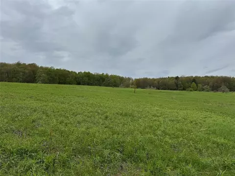 Stoodley Hollow Road, Hamden, NY 13782