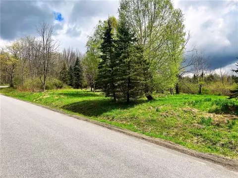 Sisson Hill Road, Unadilla, NY 13849