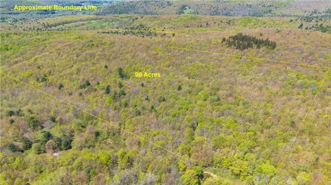 Sanly Road, Franklin, NY 13839