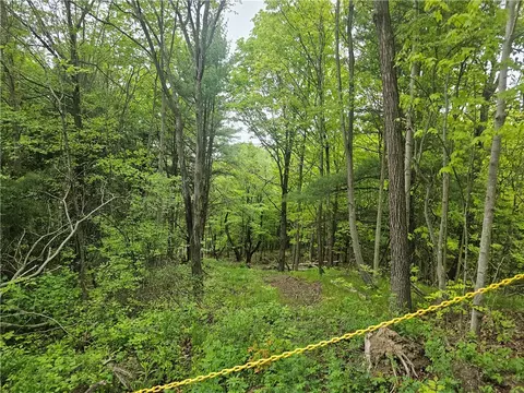 2049 State Route 245, Italy, NY 14512