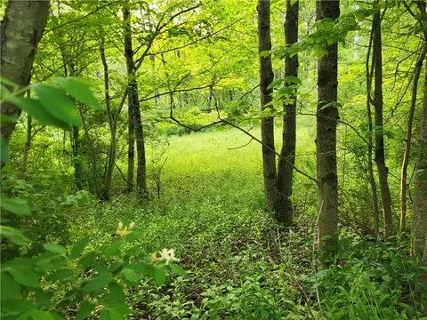lot14 1 Joe Rd, Lincklaen, NY 13155
