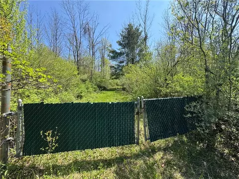 Beach Road, Tyrone, NY 14837 photo 10