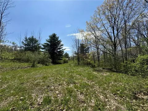 Beach Road, Tyrone, NY 14837 photo 9