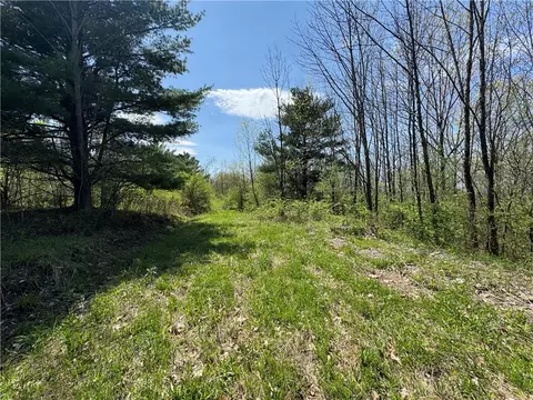 Beach Road, Tyrone, NY 14837 photo 8