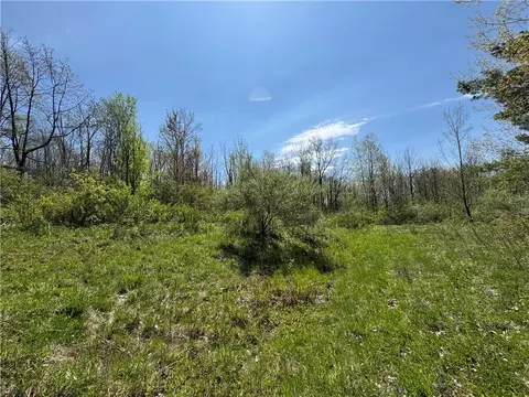 Beach Road, Tyrone, NY 14837 photo 3