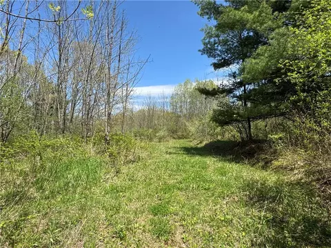 Beach Road, Tyrone, NY 14837 photo 6