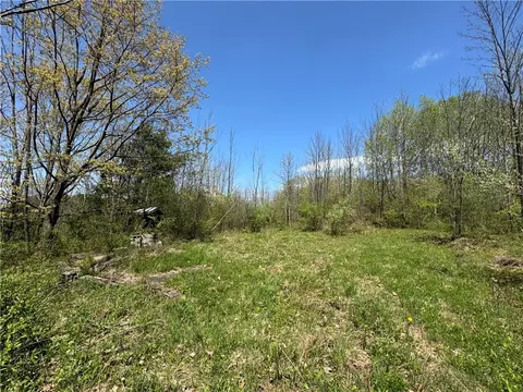 Beach Road, Tyrone, NY 14837 photo 7