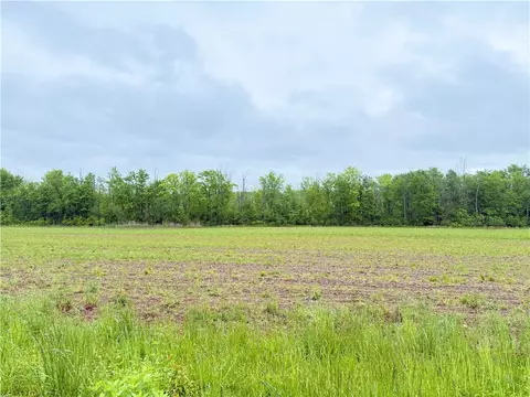 1140 Caroline Road Ext, Junius, NY 13165 photo 41