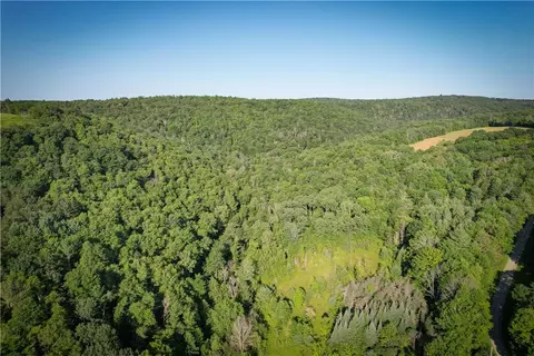 Williams Road, Candor, NY 13743