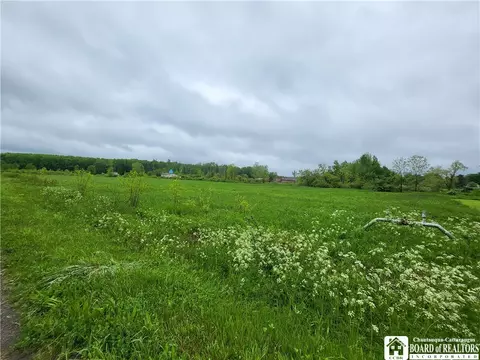 Dredge Road, Dayton, NY 14138