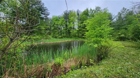 Exterior - 7978 Tuttle Rd, Prattsburgh, NY 14873 photo 10 of 11