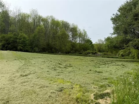 0 Mapledale Rd, Bridgewater, NY 13318