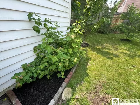 Exterior - 207 N Clinton St, Olean, NY 14760 photo 13 of 14
