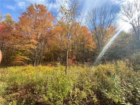 535 Scutt Mountain Rd, Stamford, NY 13739