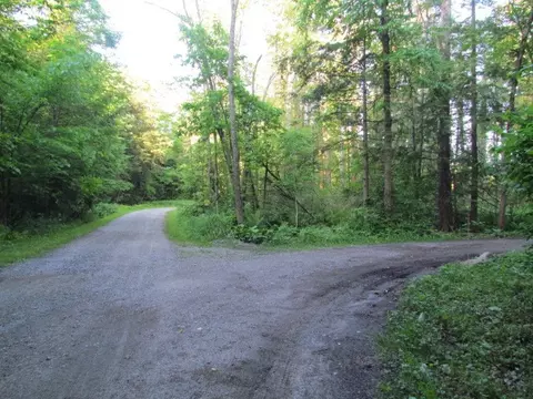 Exterior - 155 Summerset Dr, Java, NY 14009 photo 6 of 7