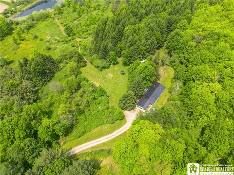 12128 Ruckh Hill Rd, South Dayton, NY 14138