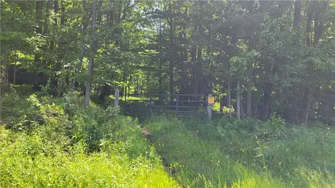 0 Nunda-byersville Rd, West Sparta, NY 14437