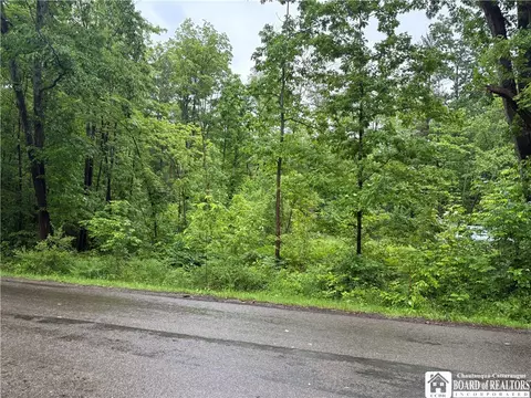 Scott Road, Carroll, NY 14738