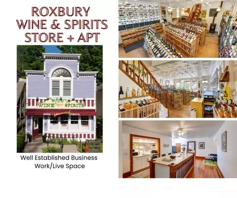 53484 State Highway 30, Roxbury, NY 12474